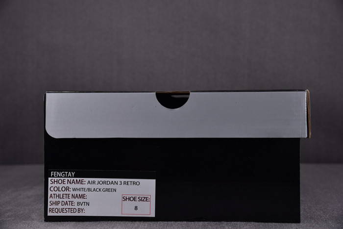 Air Jordan 3 Retro Oregon Ducks Pit Crew White 594282233