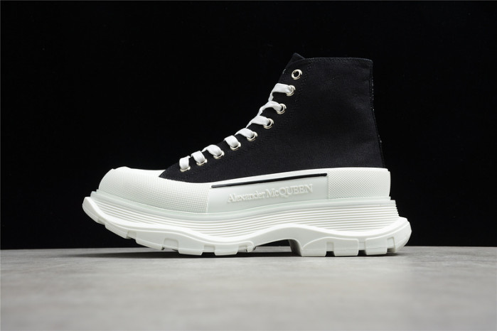 ALEXANDER MCQ11