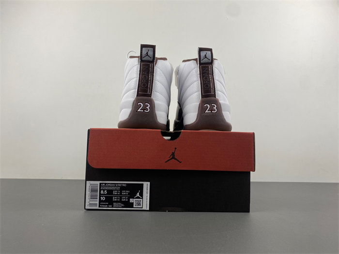 Air Jordan 12 SoleFly and  Jordan  FZ5026-100