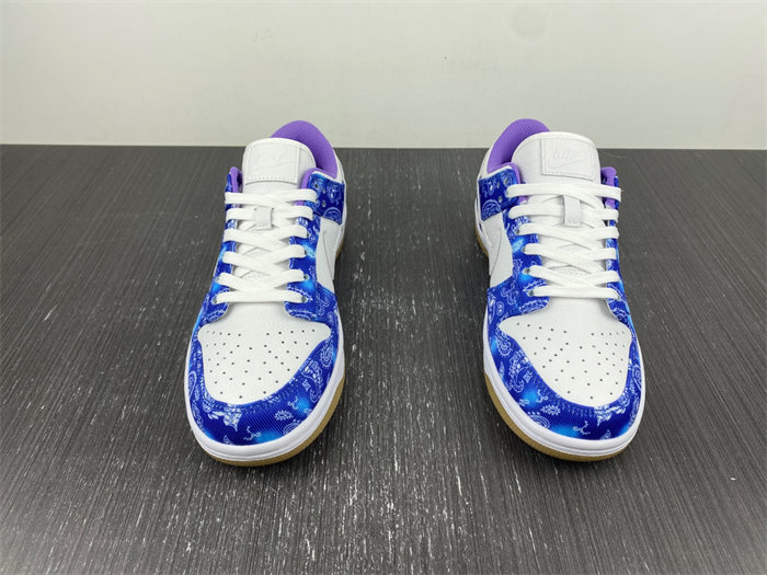 Nike SB Dunk Low Retro SP CT5053-041