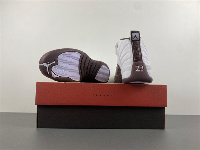 Air Jordan 12 SoleFly and  Jordan  FZ5026-100
