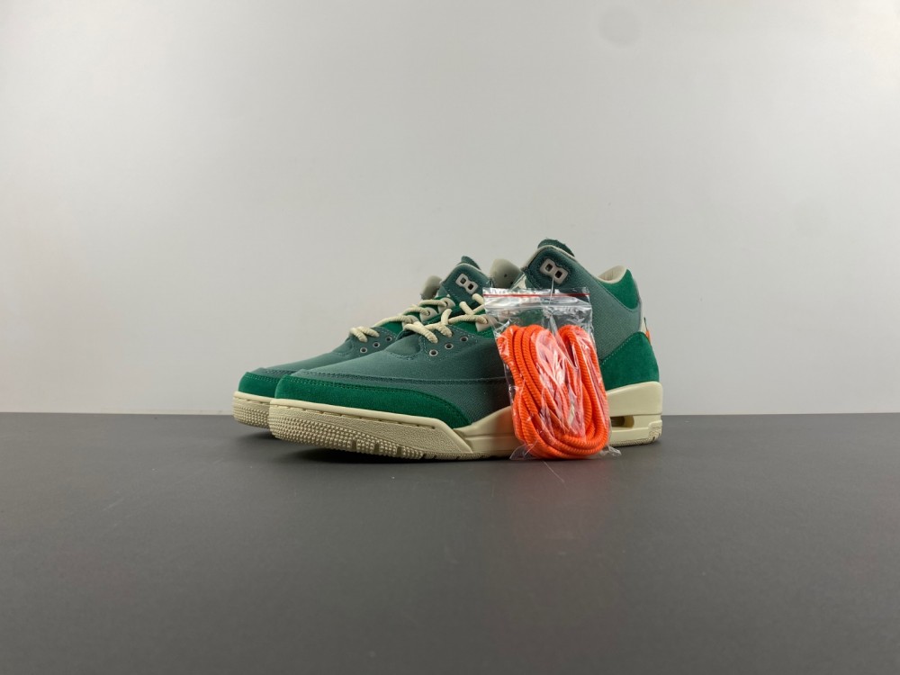 nina Ch*el abney x air jordan 3 og sp wmns