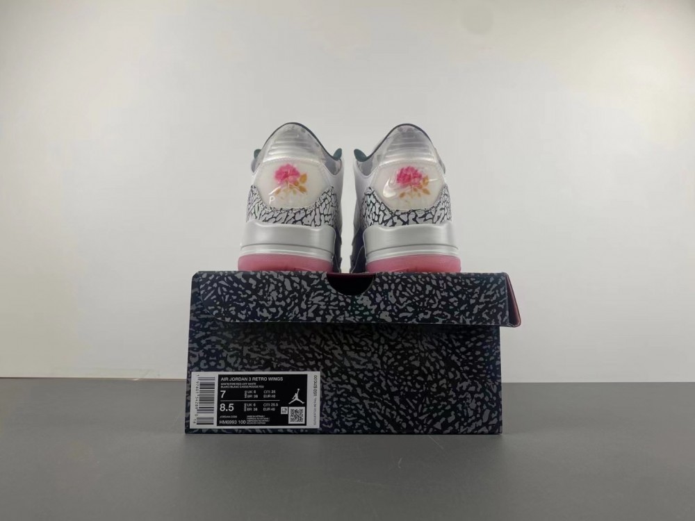 First Look At The Air Jordan 3 “Wings” HM6993-100